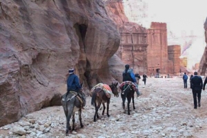 Donkey rides Petra Jordan